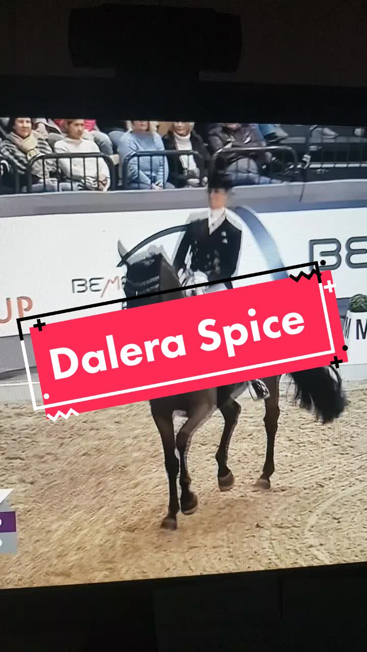 @Artline Dressage