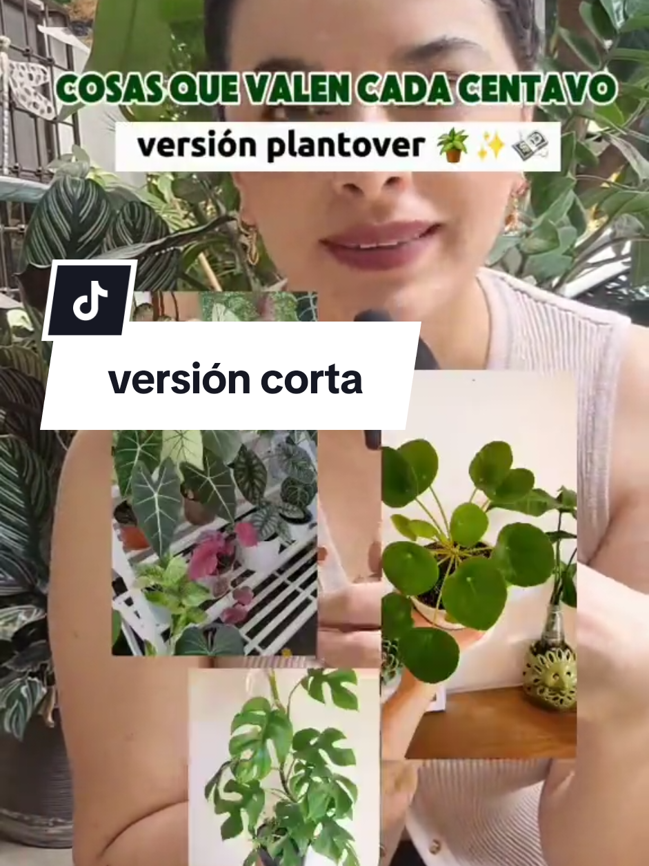 @Plantología🌿