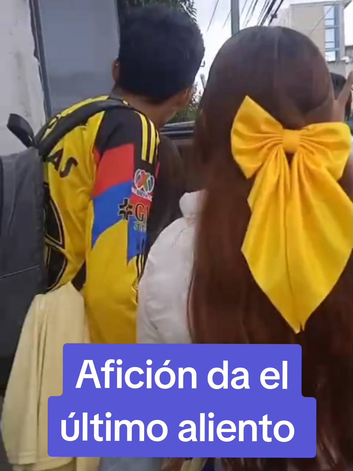 @Jonatan Peña