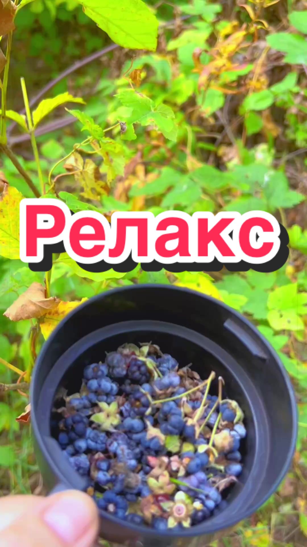 @Уральская Дама