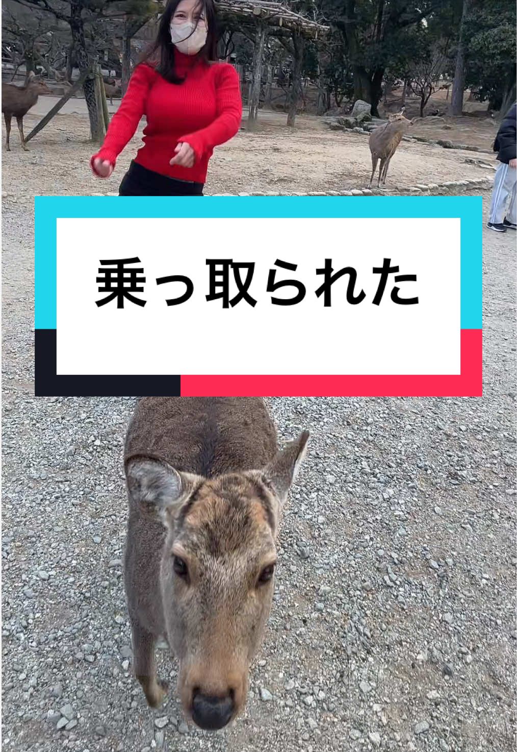 @秘密の♡街角懺悔