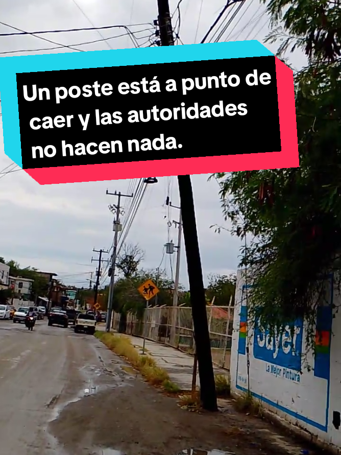 @La profe chida