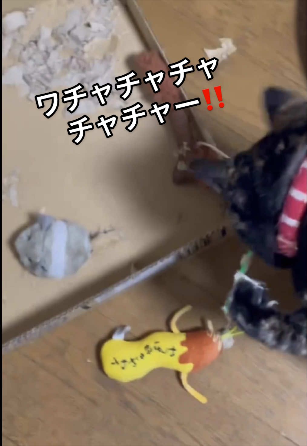 @聴々物語PROJECT