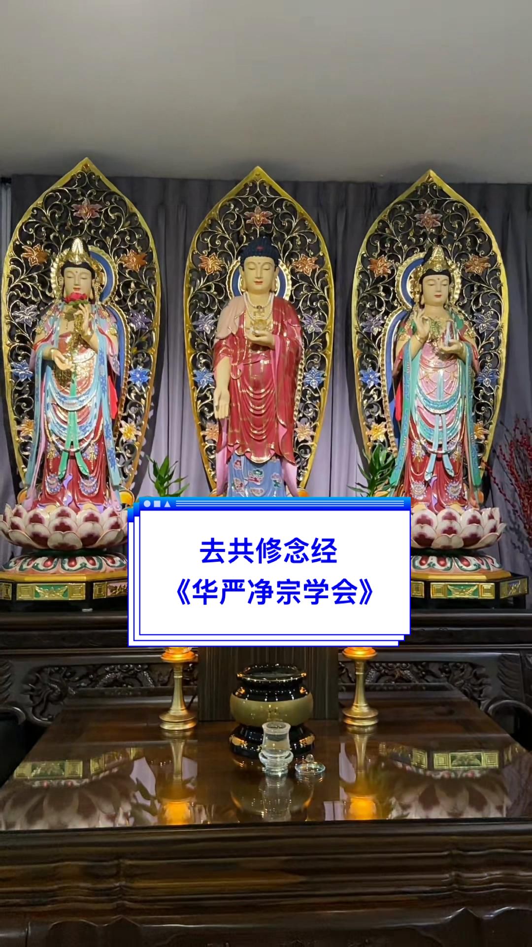 @净心