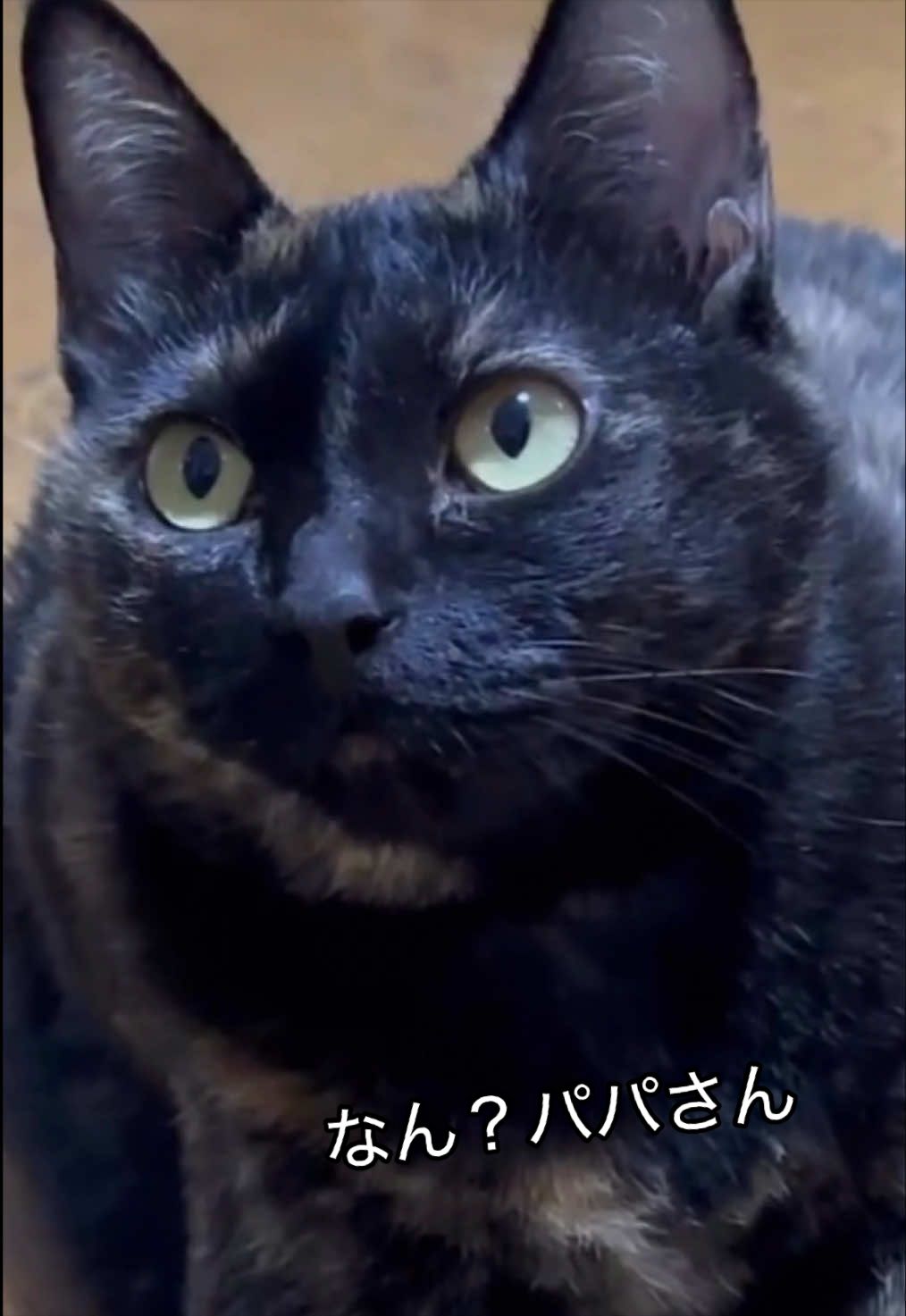 @聴々物語PROJECT