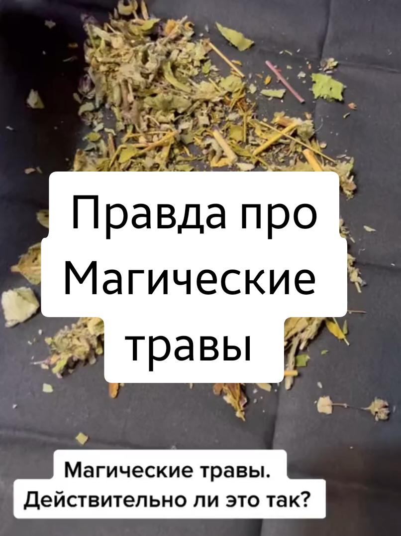 @ТГК: violetta_wax