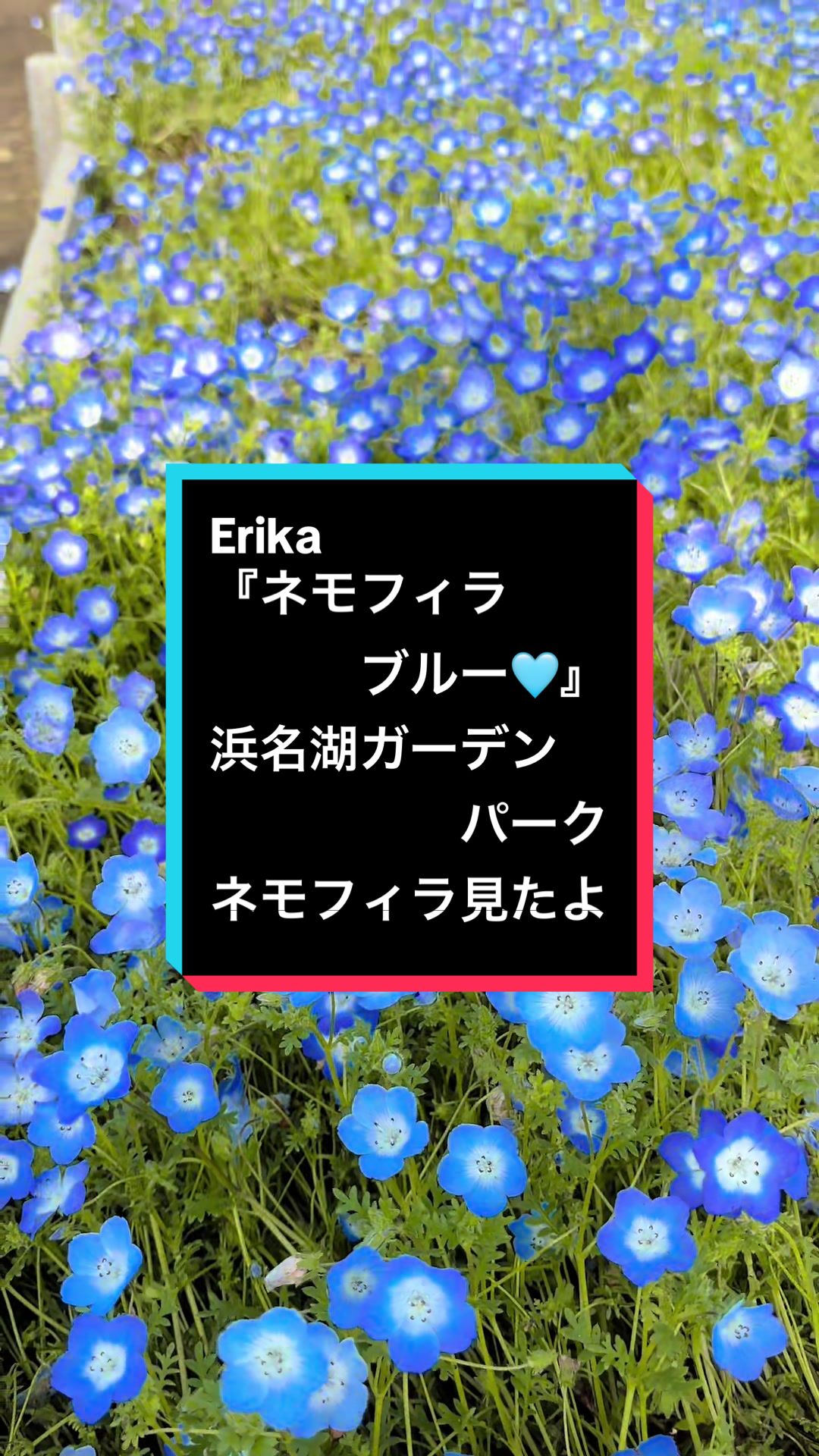 @ゆる