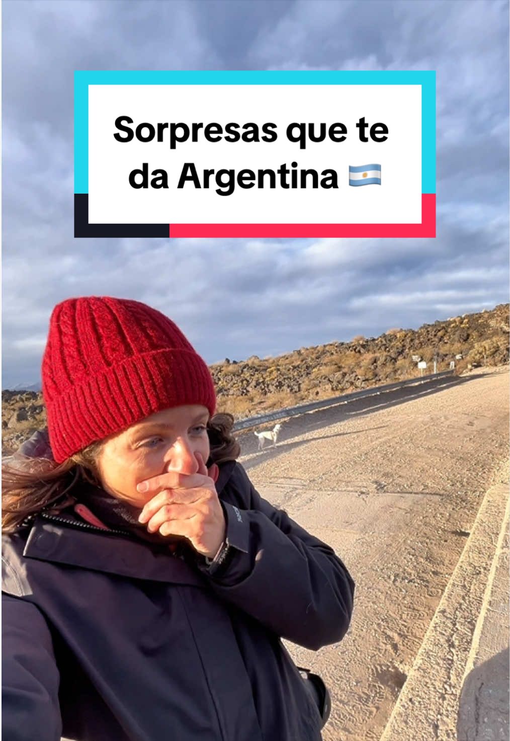 @unpalodevida