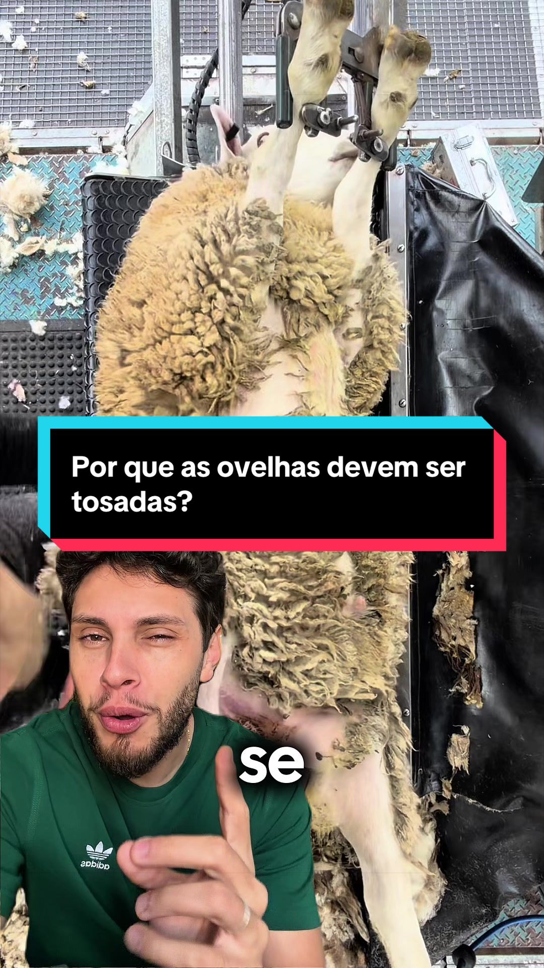 @Fercavs