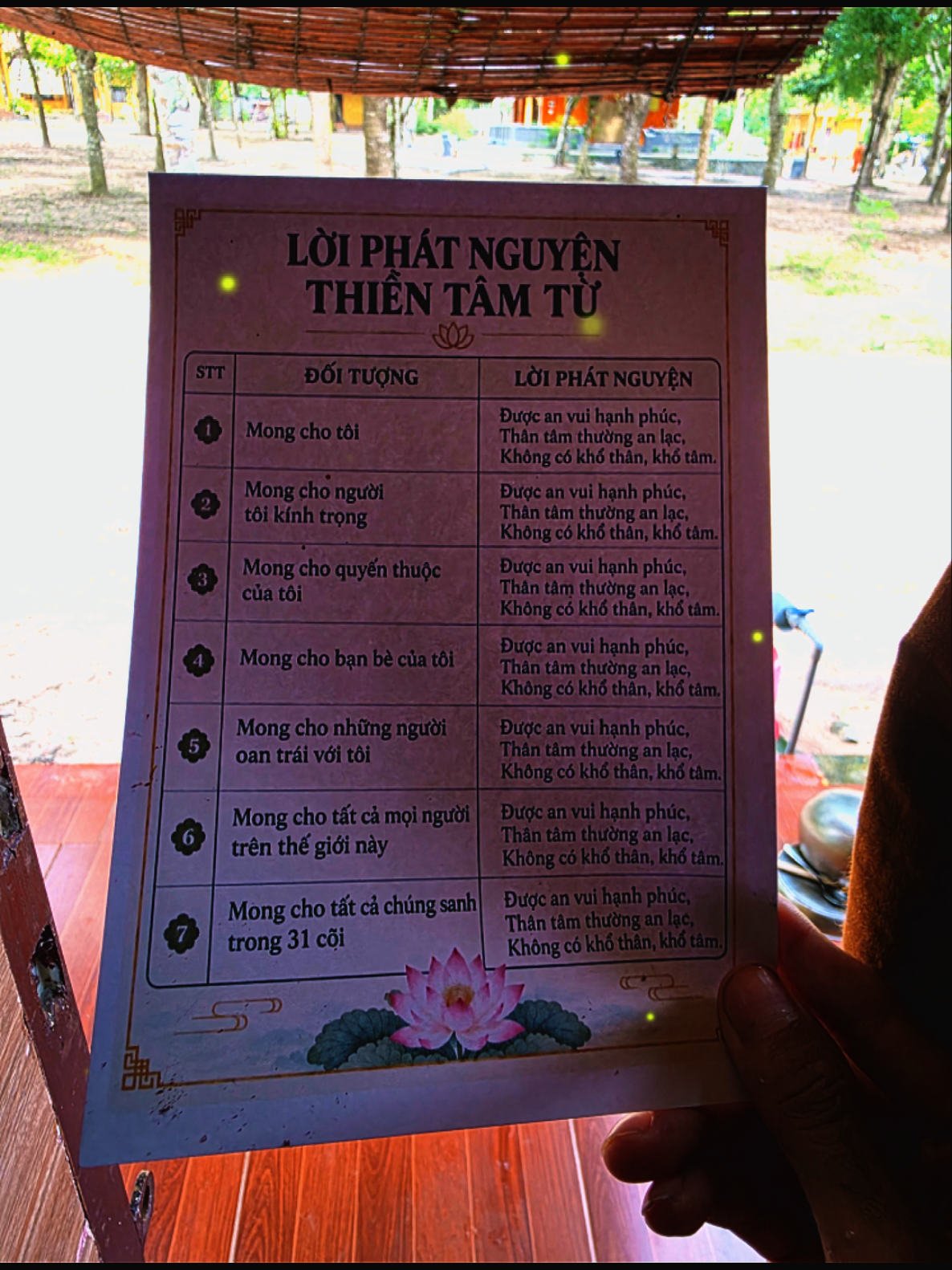 @TK Bảo &Acirc;n