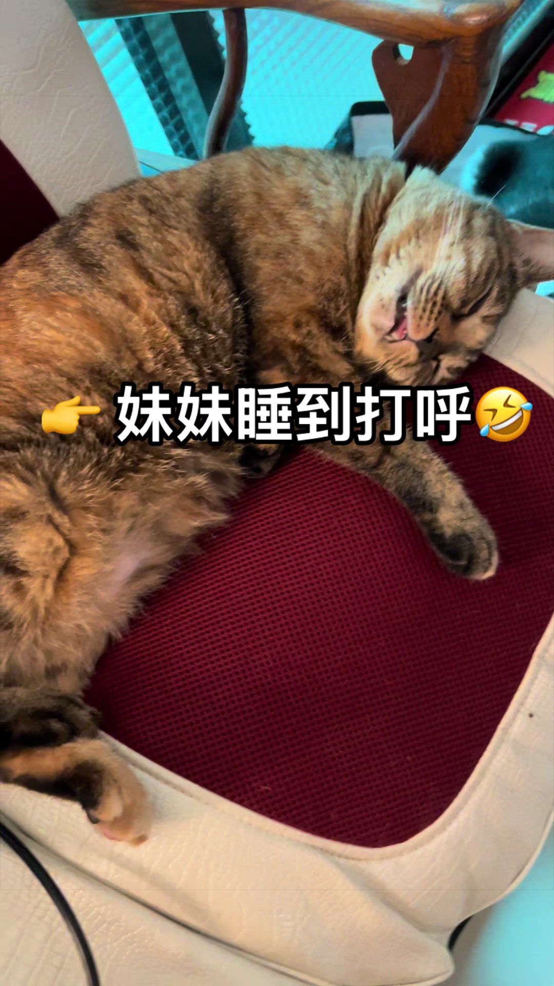 @Hans Lin