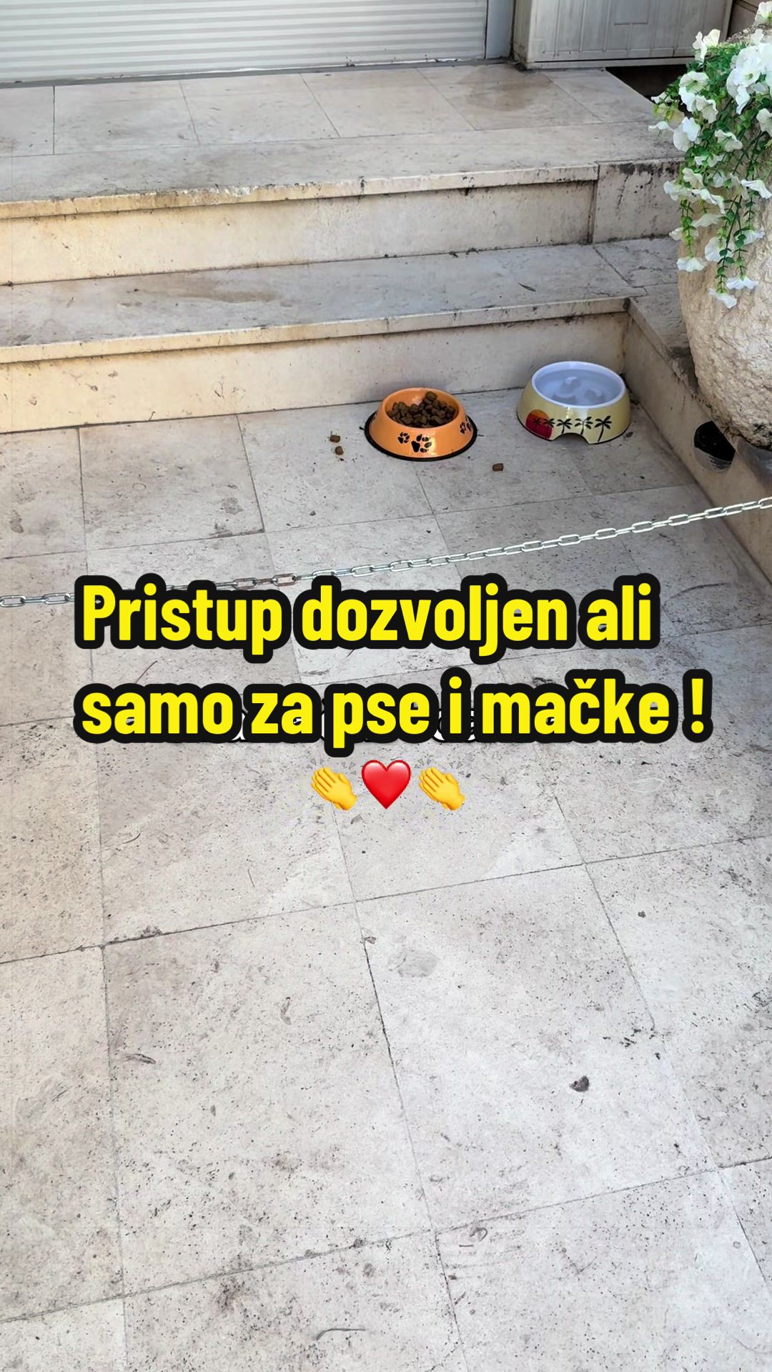@Maja Kovijanic