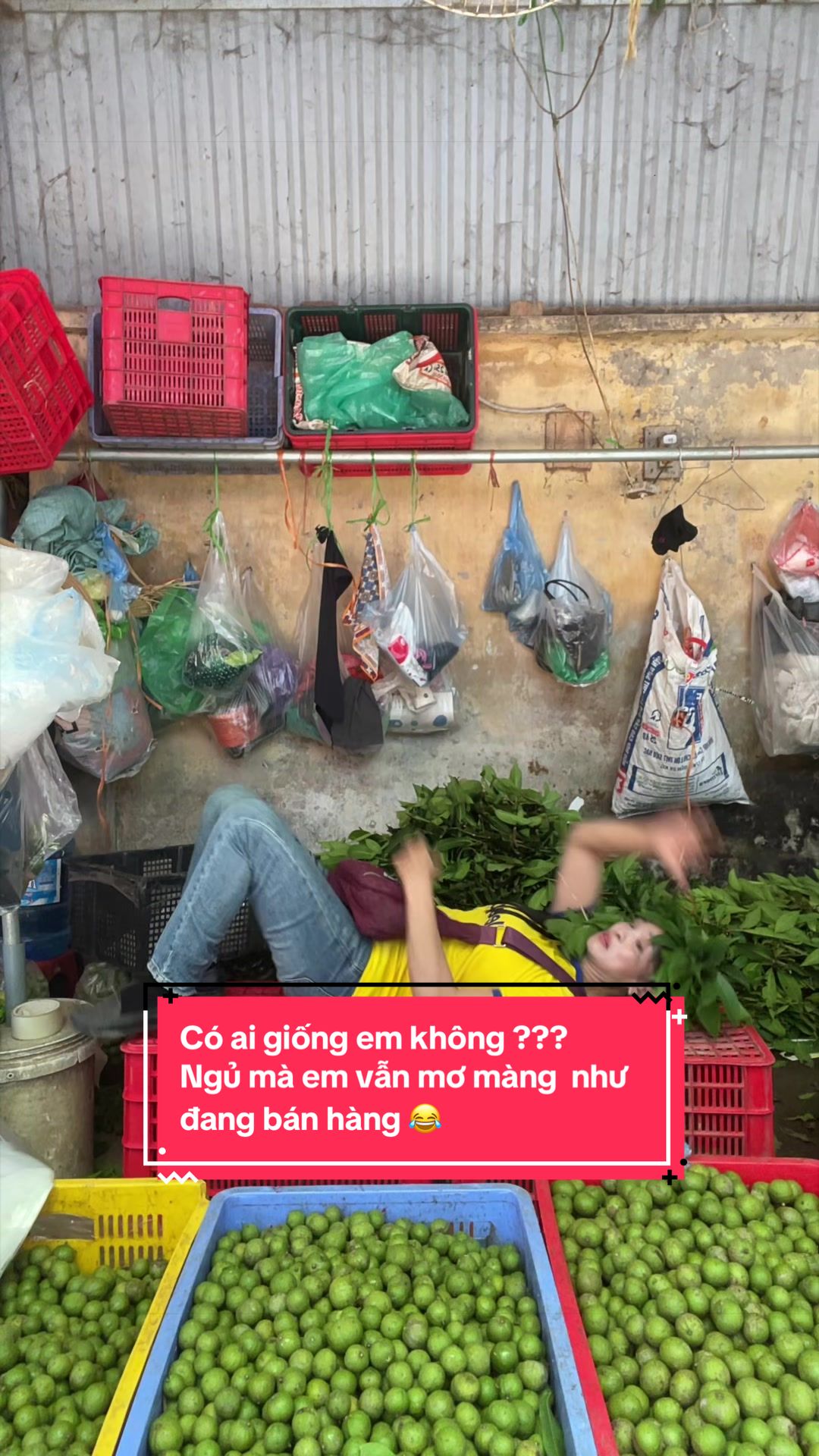 @Lan hoa vui vẻ