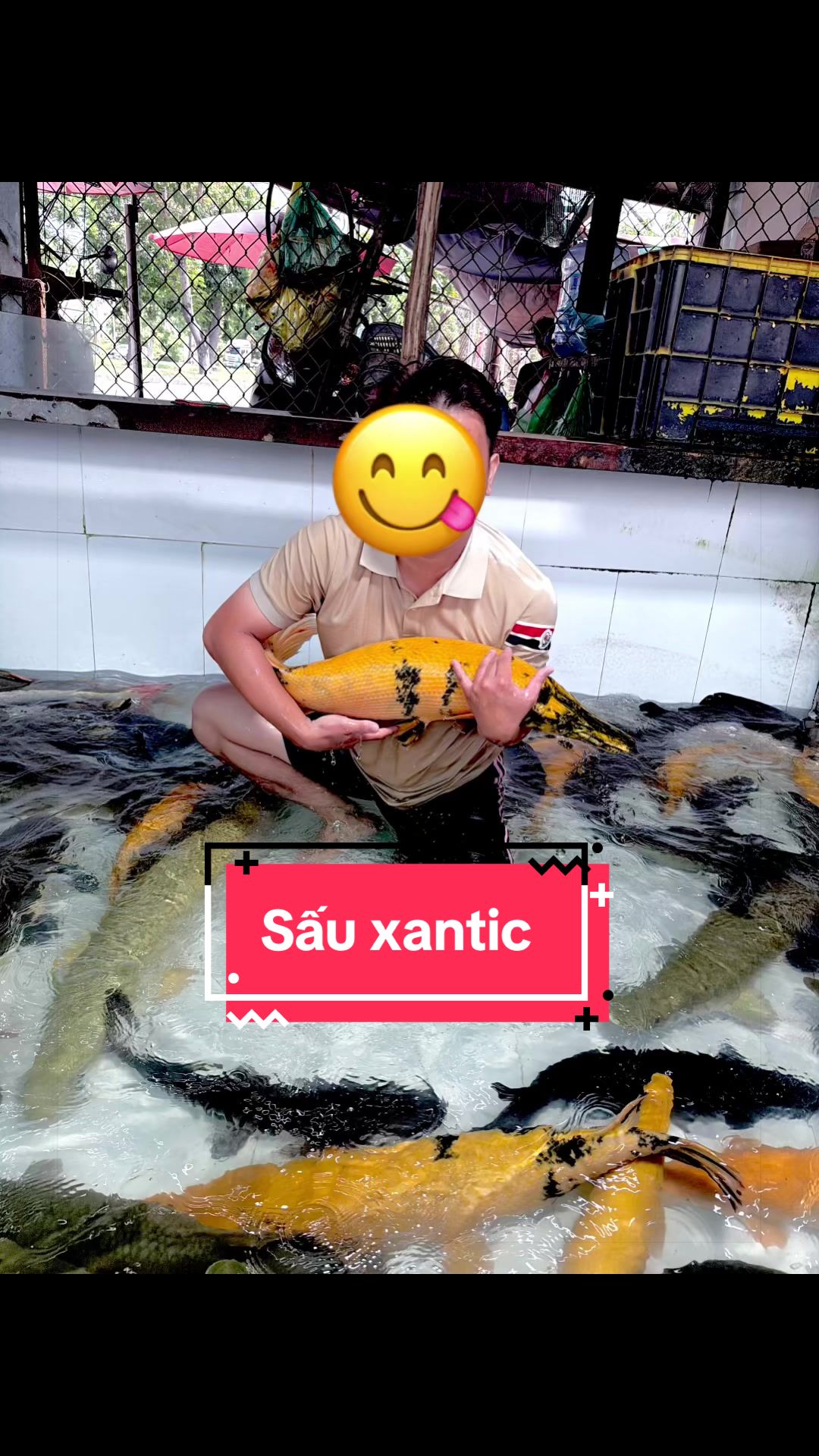@Ph&aacute;t Đạt B&aacute;n C&aacute; 😎🐠🦈