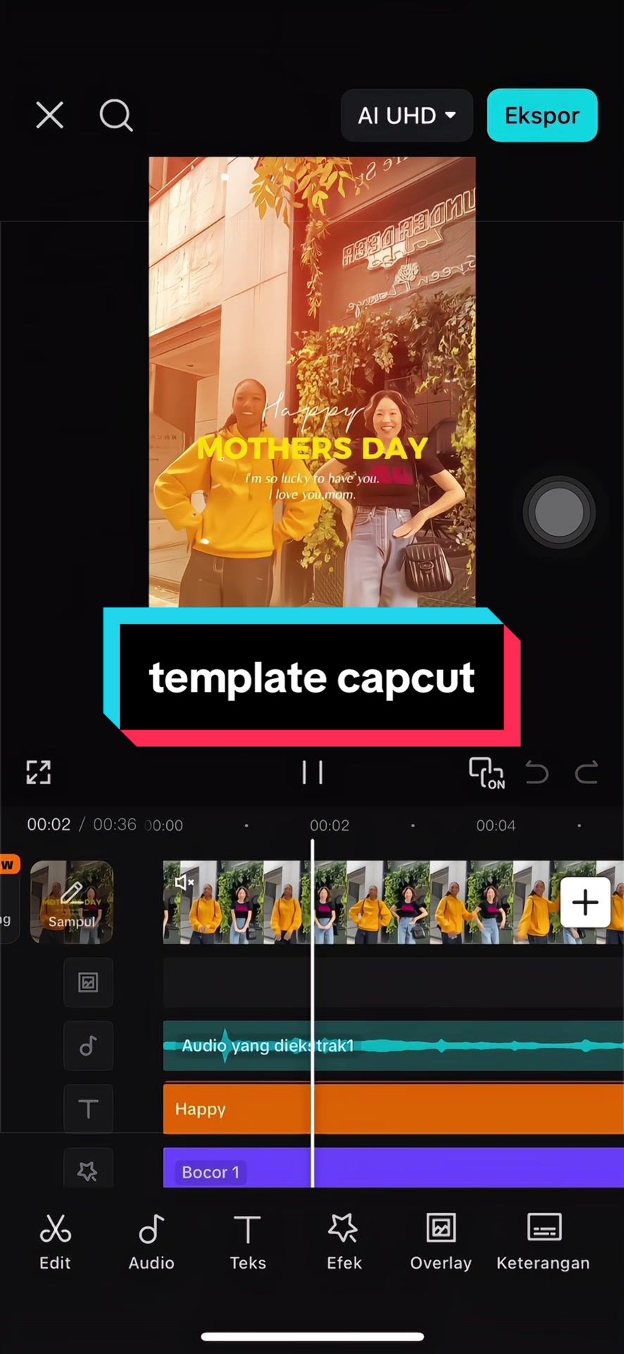 @Vanilla Capcut🎟
