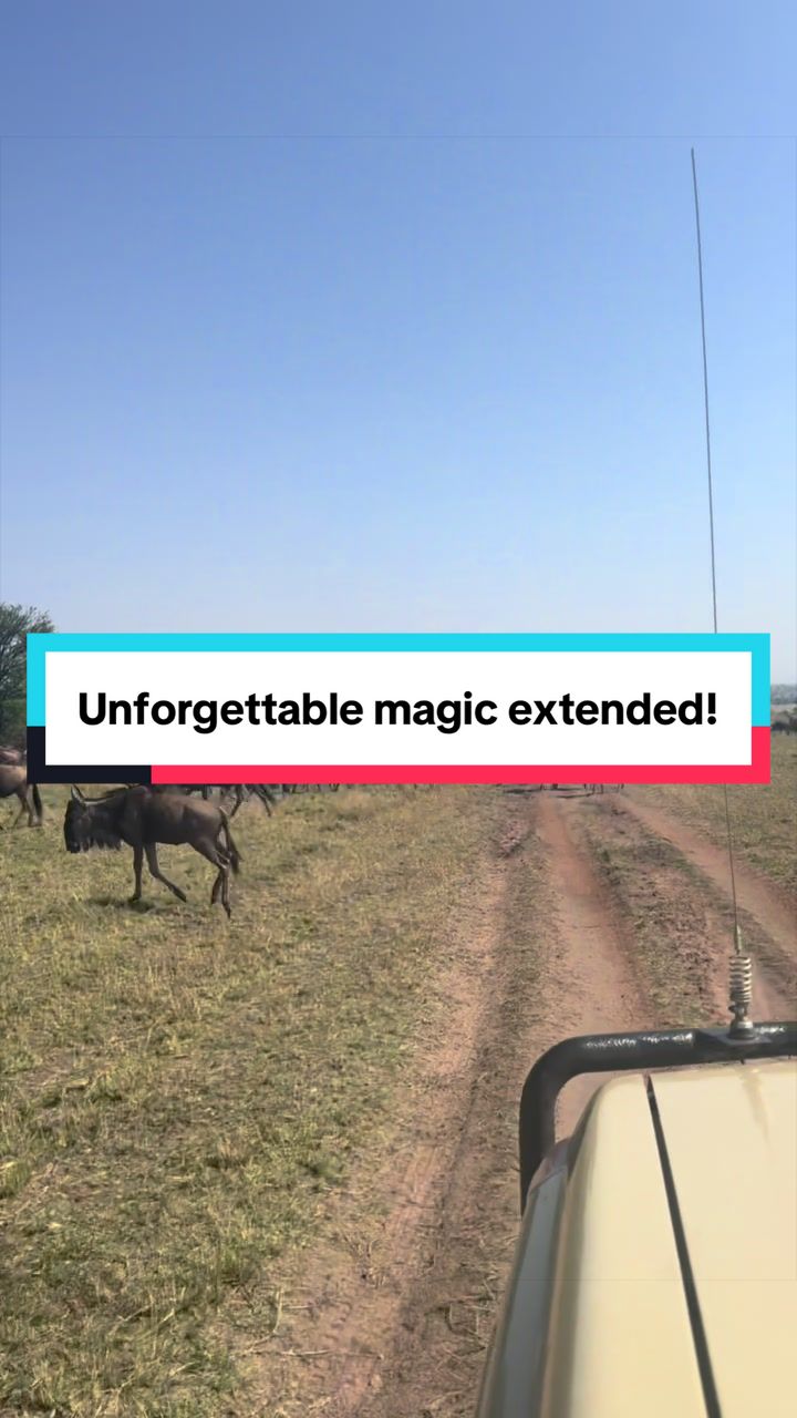 @Milana Tours and Safaris