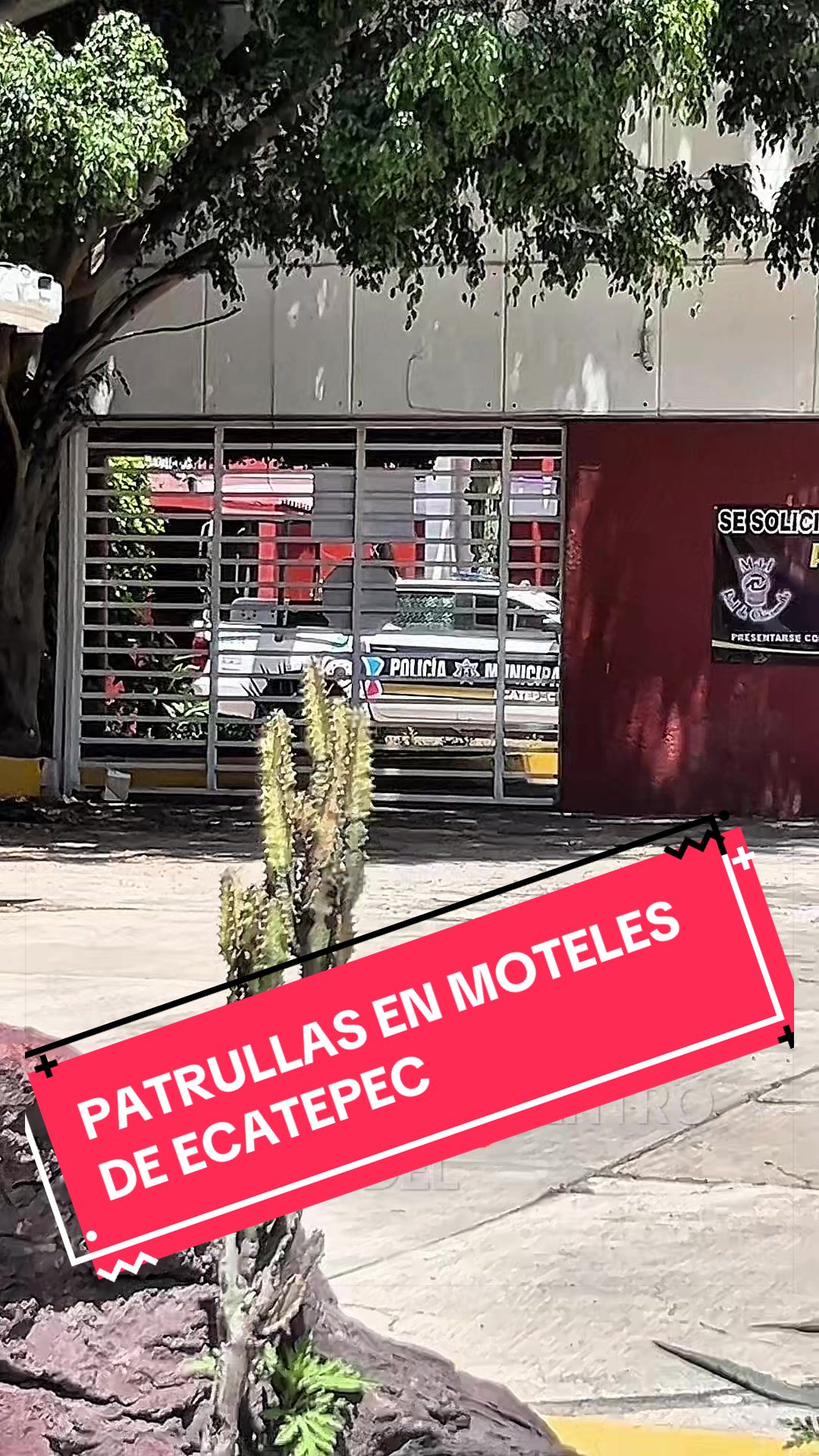 @Diego García