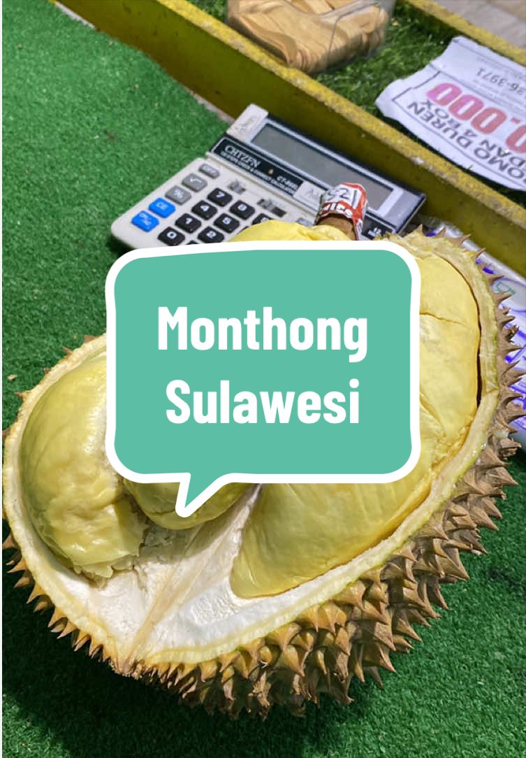 @Rumah Tamma Durian
