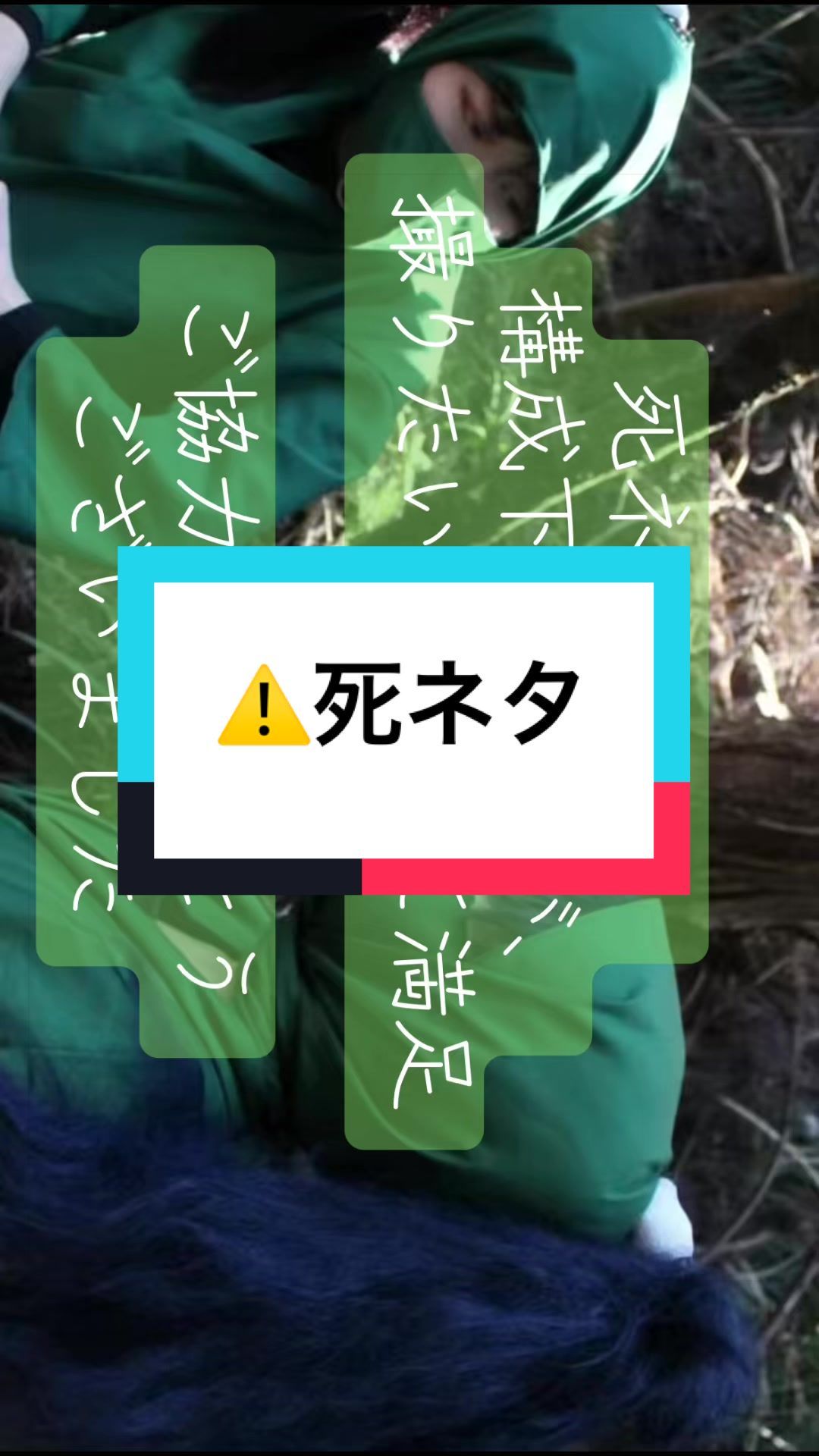 @꒰𑁬翼໒꒱