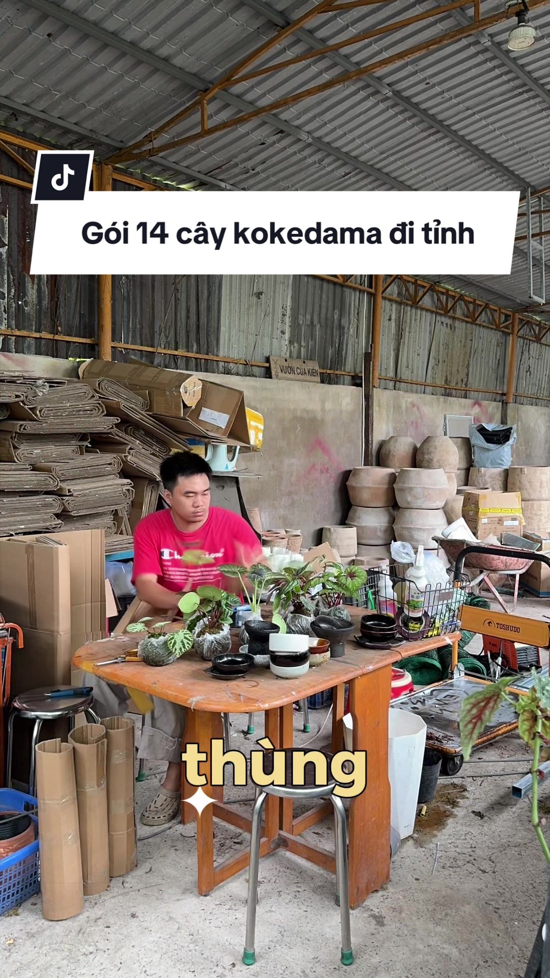 @Vuoncuakien