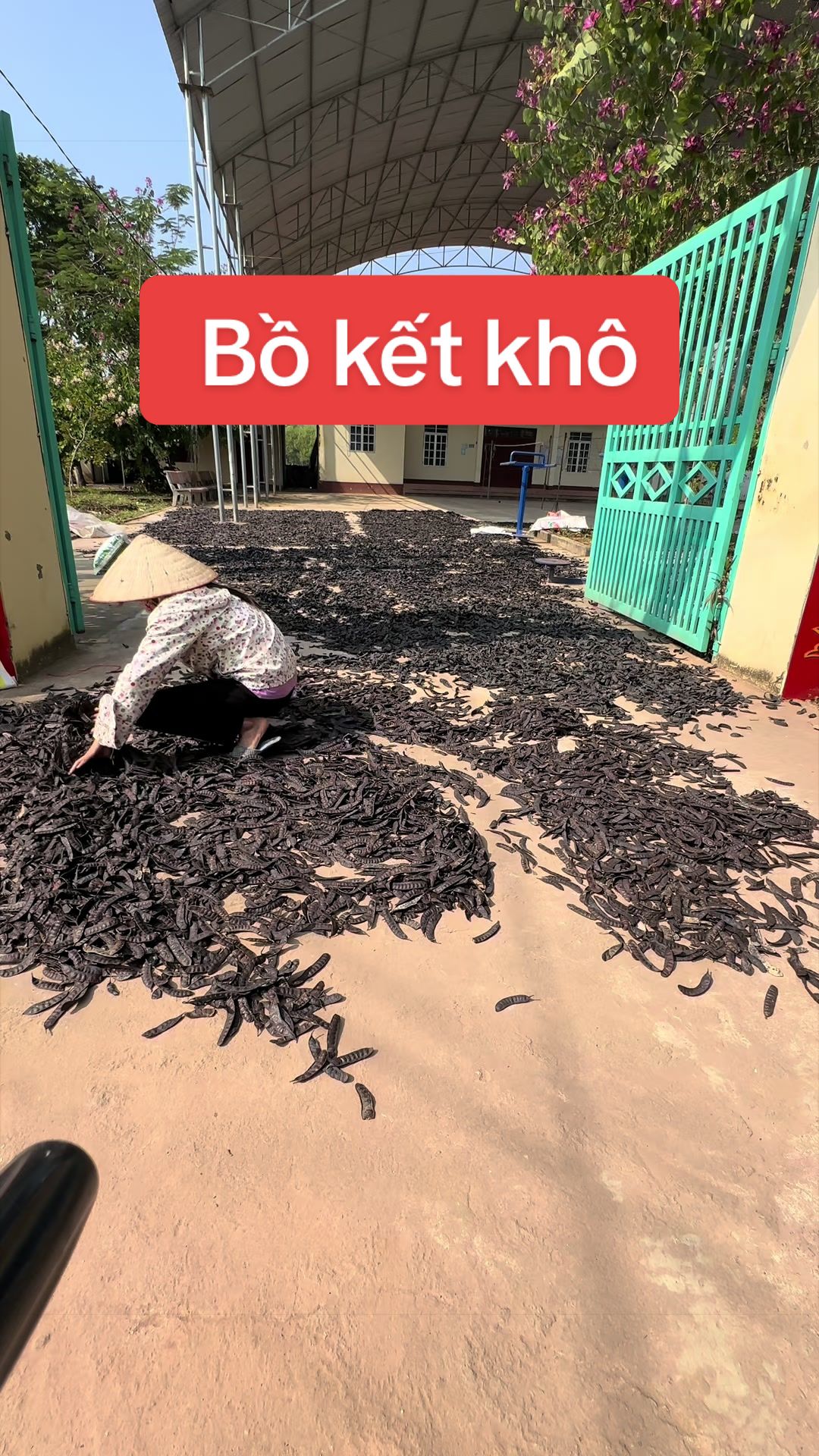 @Nh&agrave; Vườn Vũ Mai