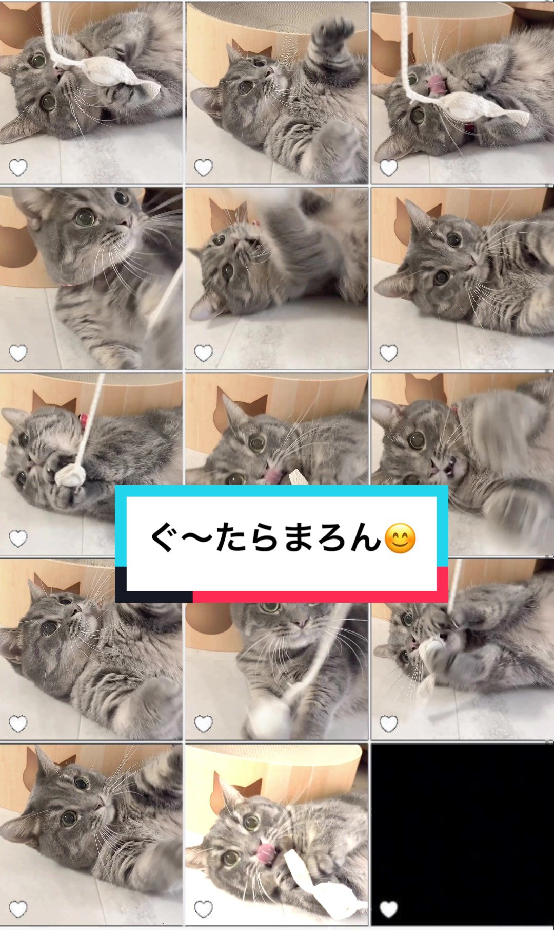 @ふたばꕤ︎︎