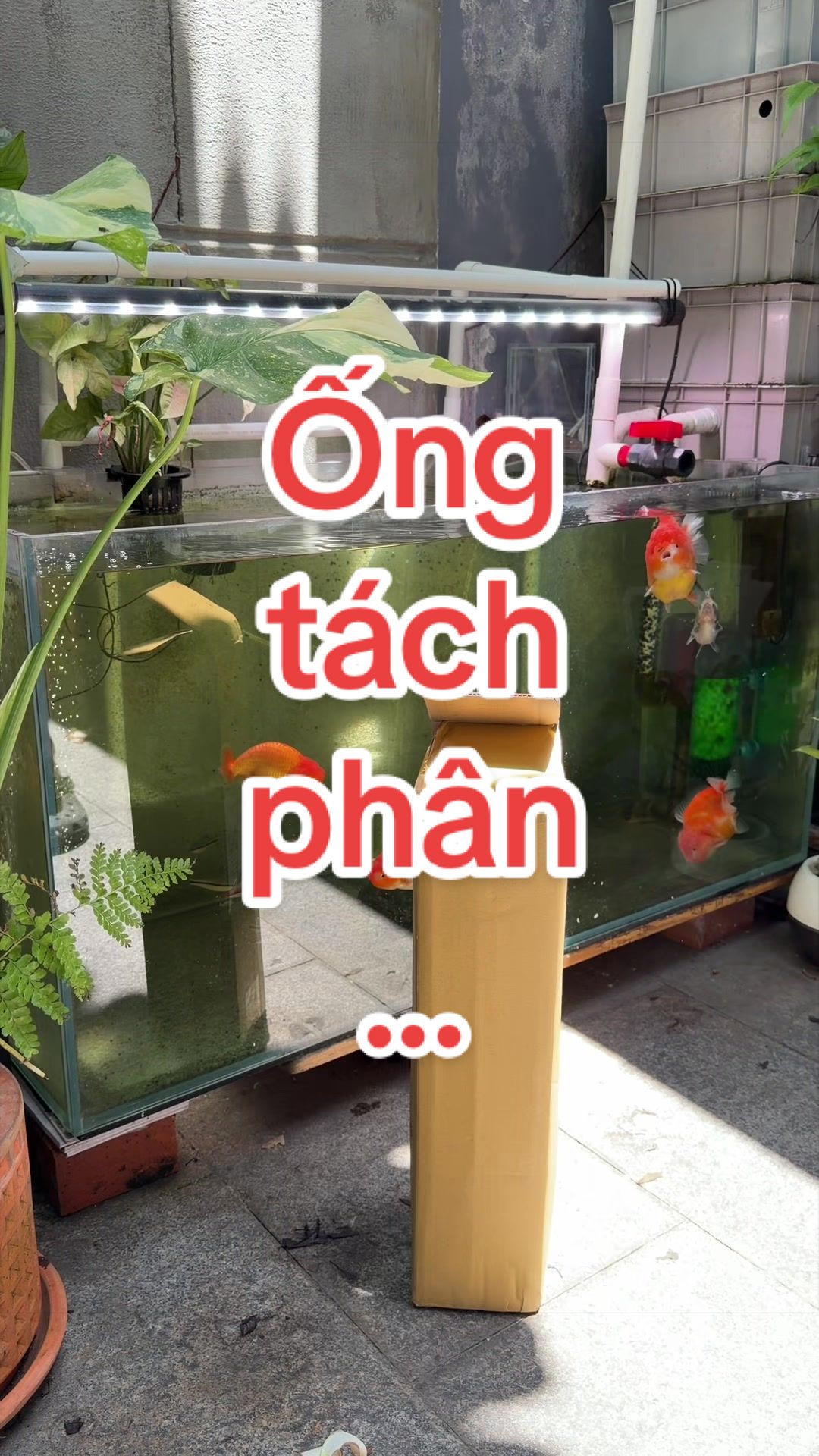 @Simple Tank