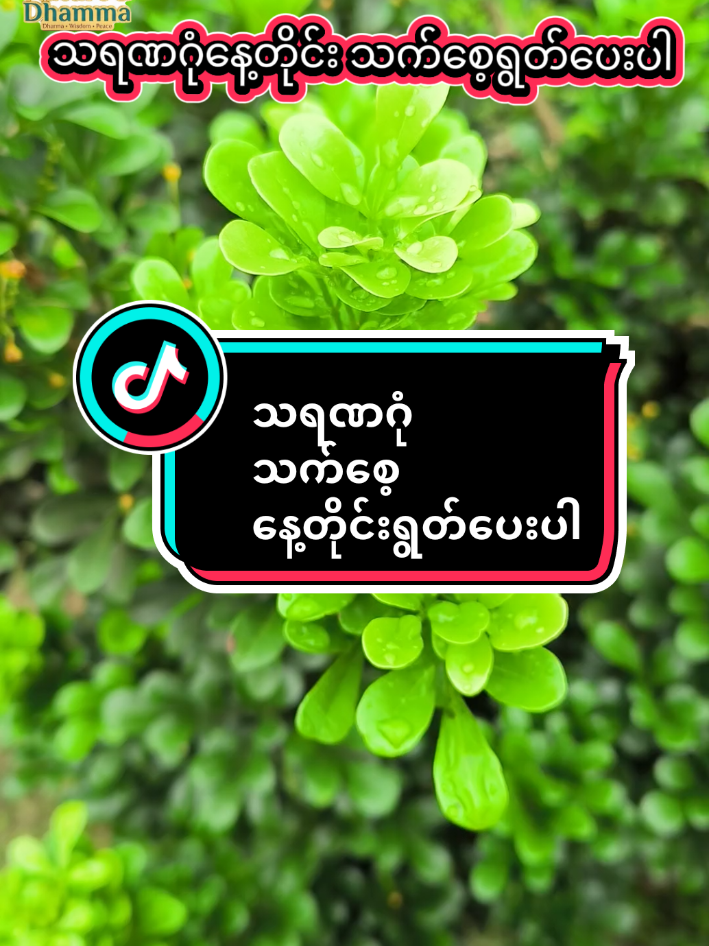 @๐๐๐ญ๐ฎ๐ซ๐ & ๐๐ก๐๐ฆ๐ฆ๐