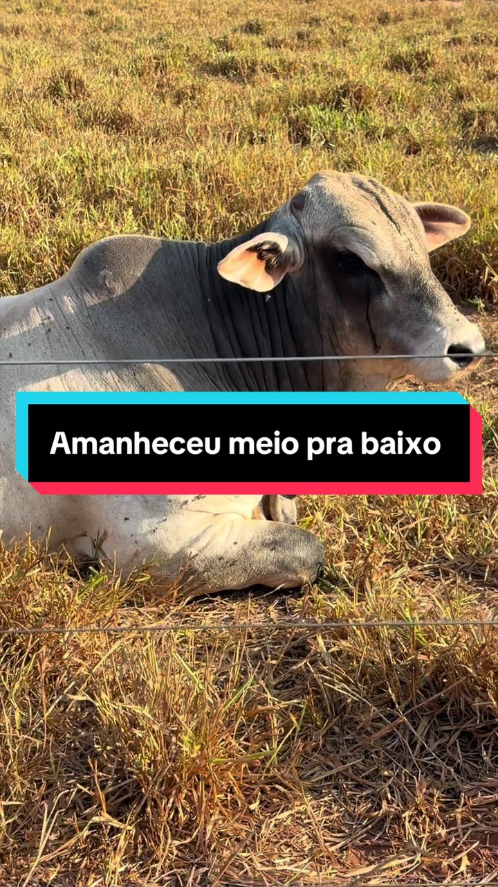 @🍀Santos🚜