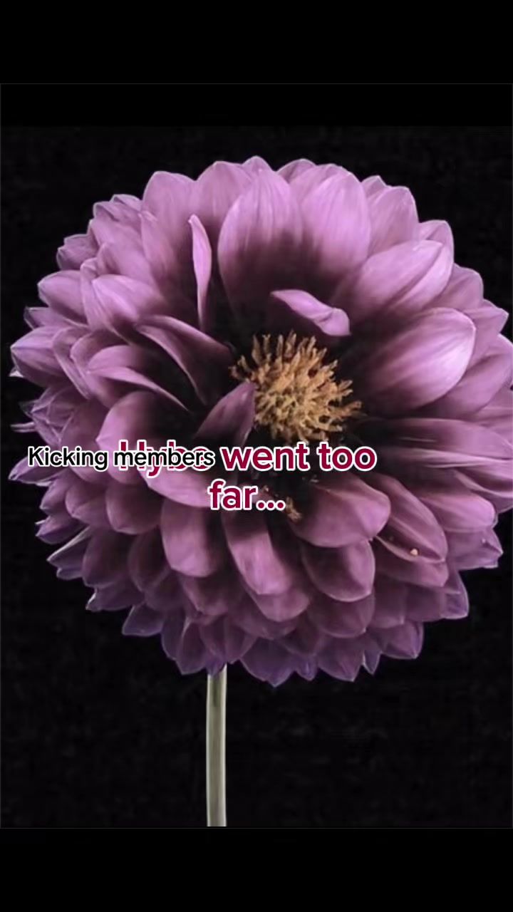 @• ɢɪᴢxxsᴇʟʟᴇ ✮ও