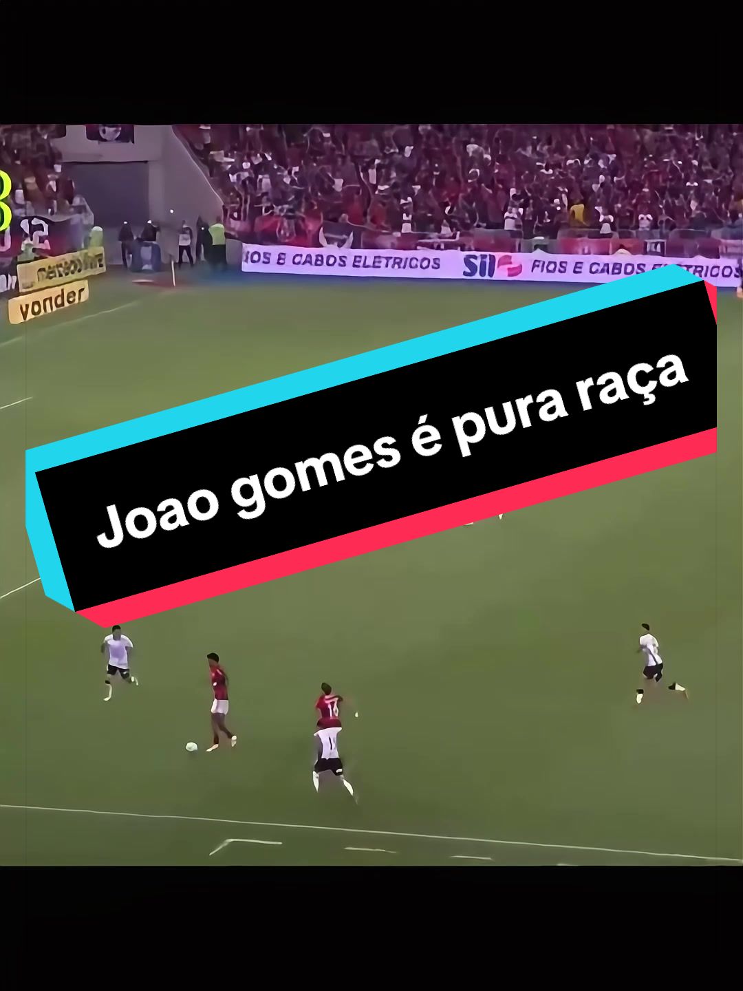 @ApoioFla