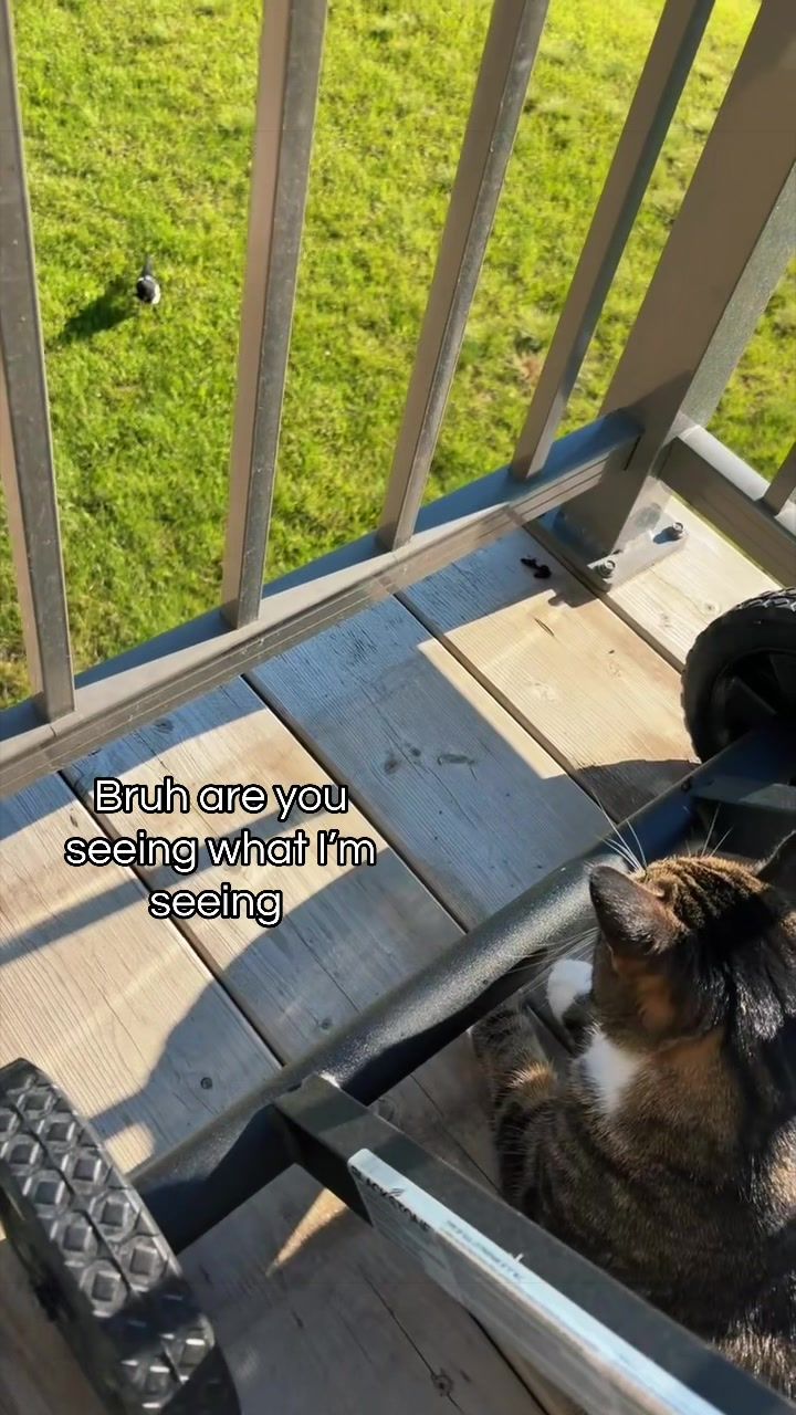@Bmichaud