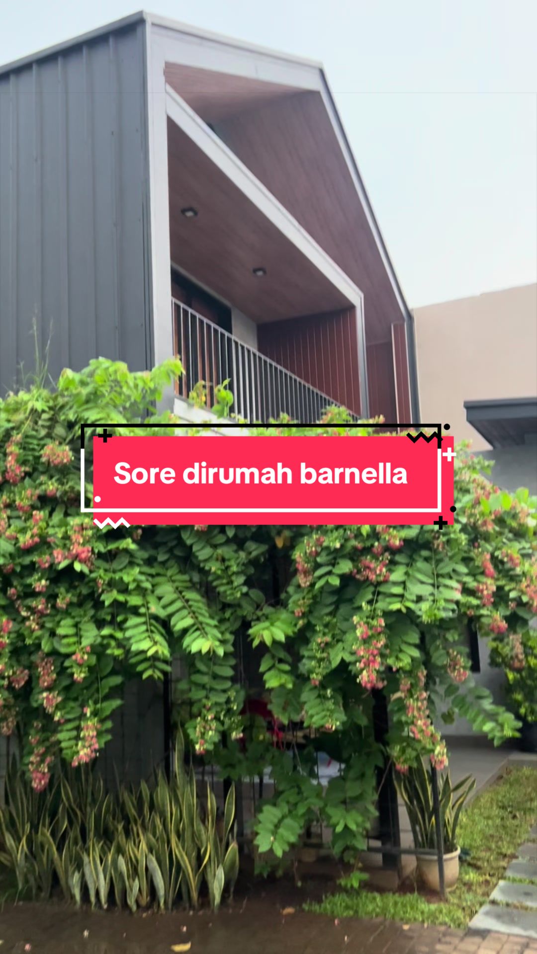 @Licu VIB