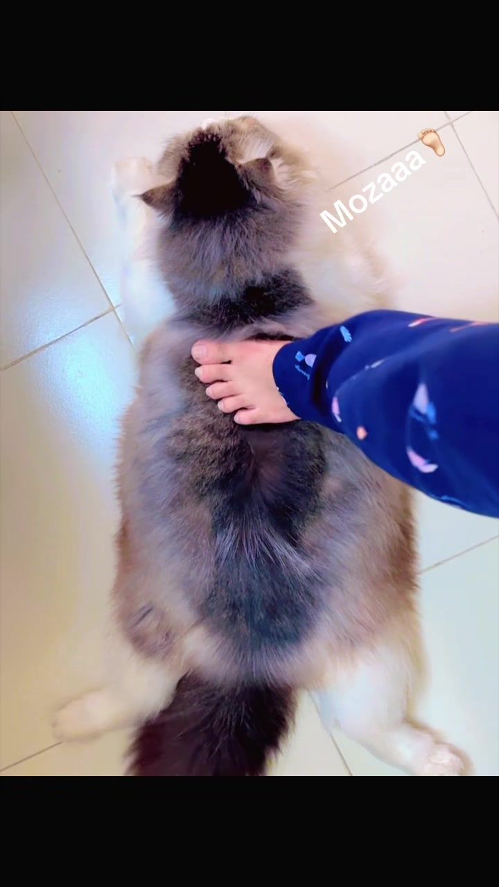 @Nilima
