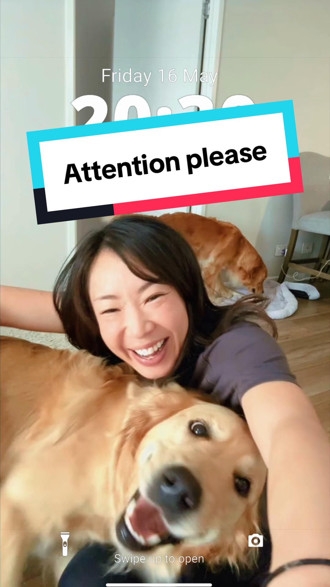 @3goldenretriever