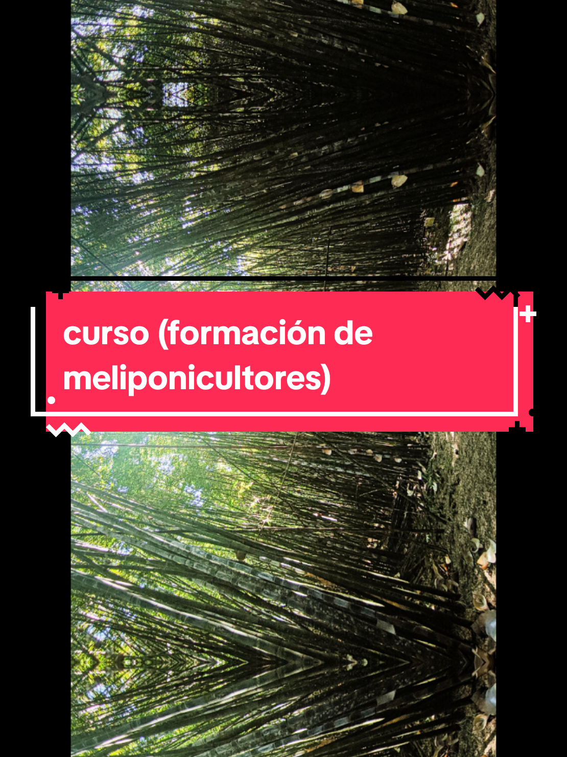 @santuario de las meliponas