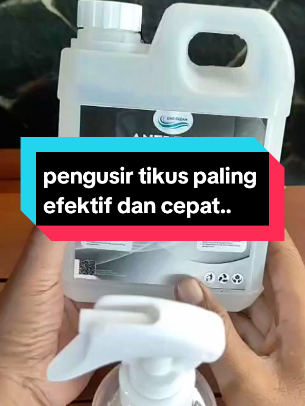 @vieagnur