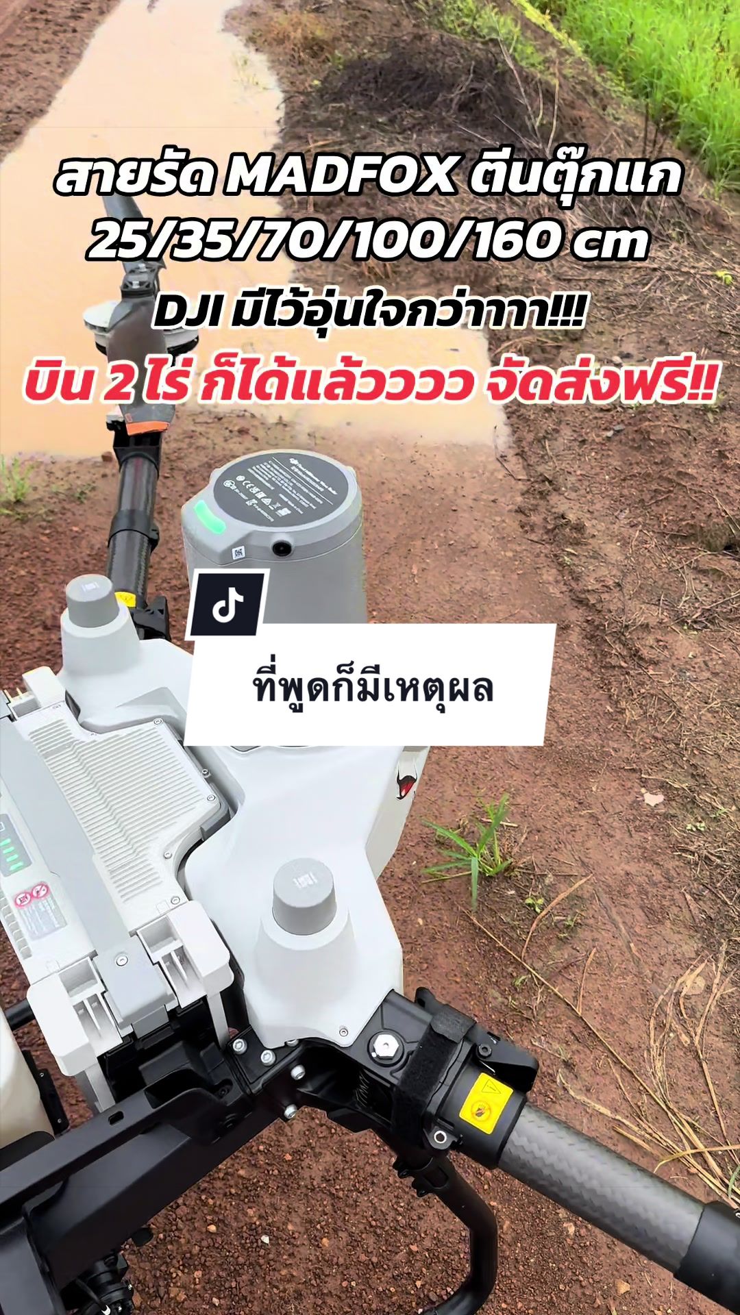 @อาเฮียหลี อาหลีเฮีย