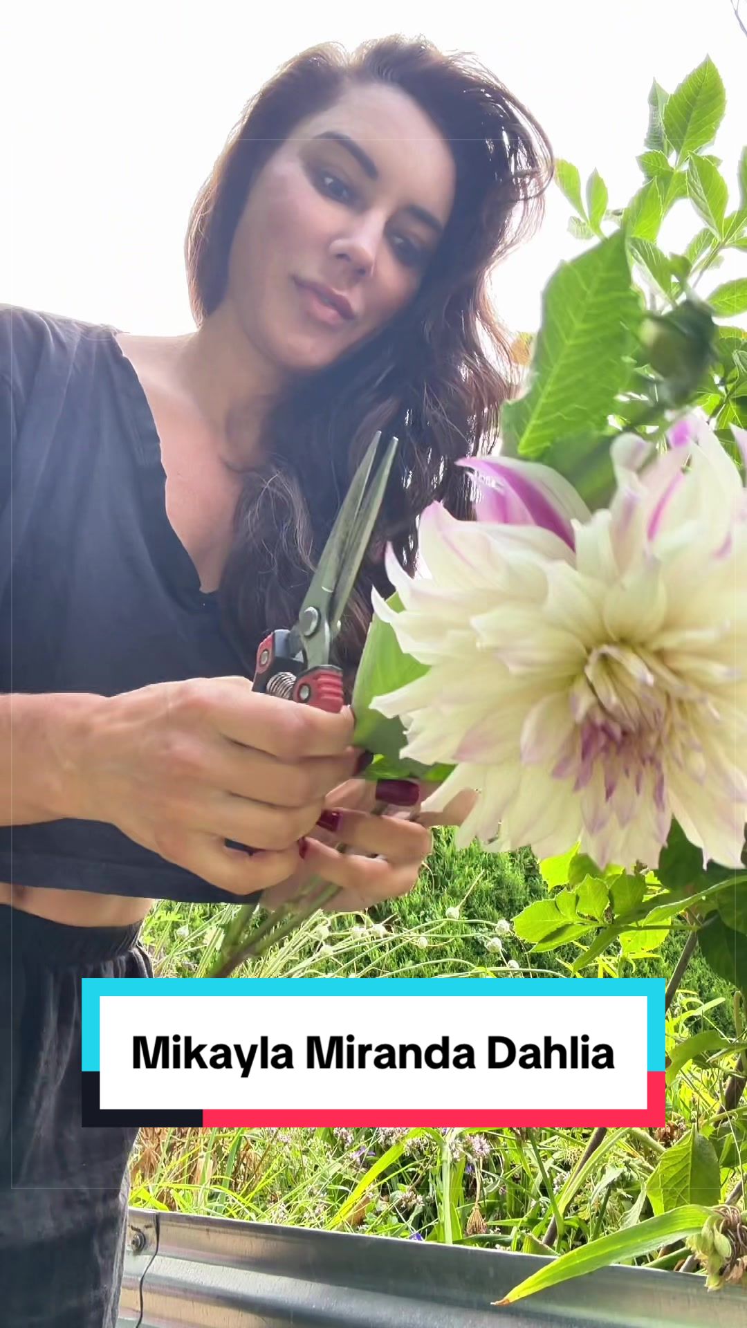 @Ava Dahlia 🇨🇦👩&zwj;🌾✌️