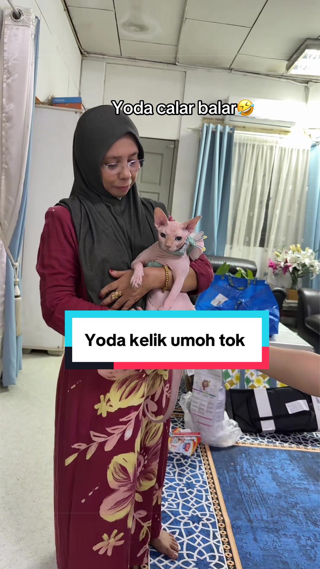 @Kimmy Pet Style