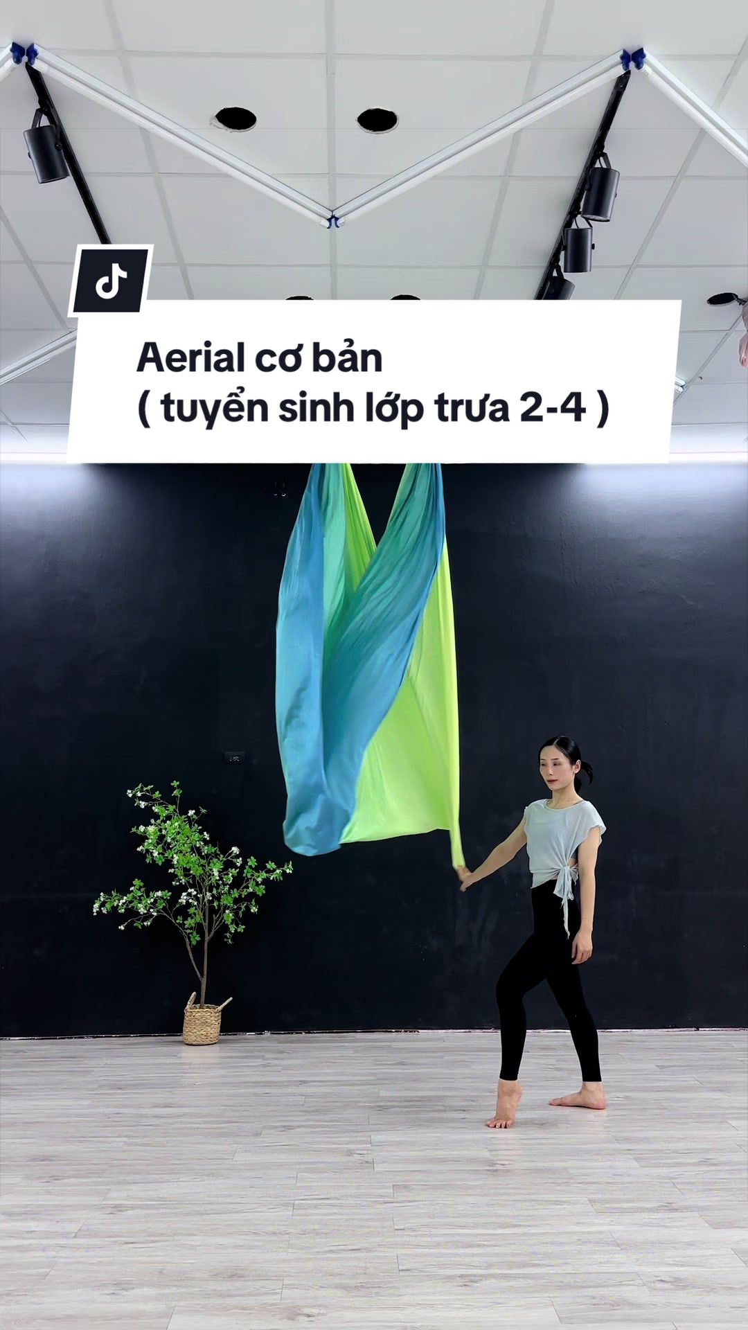 @Mộc Tr&agrave; 🌿