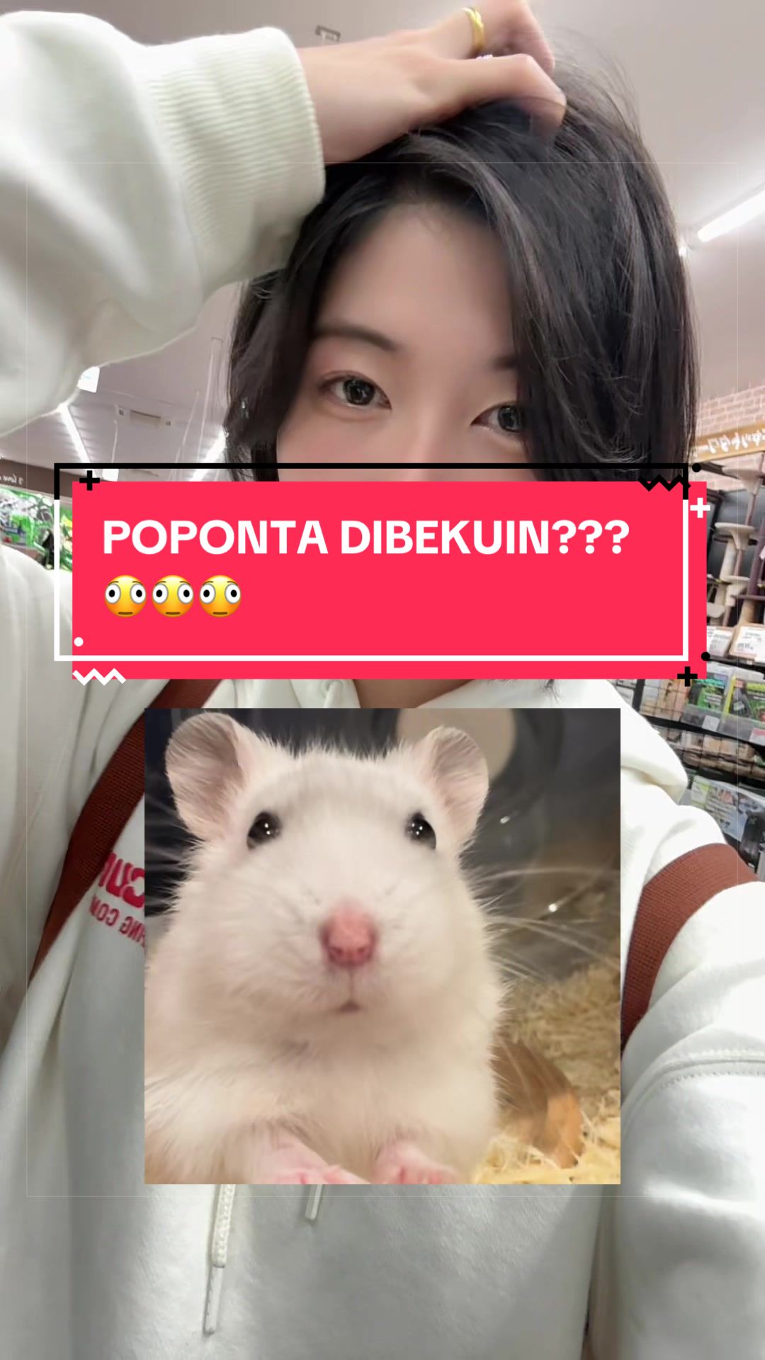 @ciappoppop