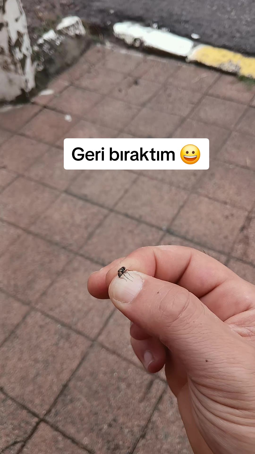@𝑺𝒆𝒄𝒌𝒊𝒏☪⃝