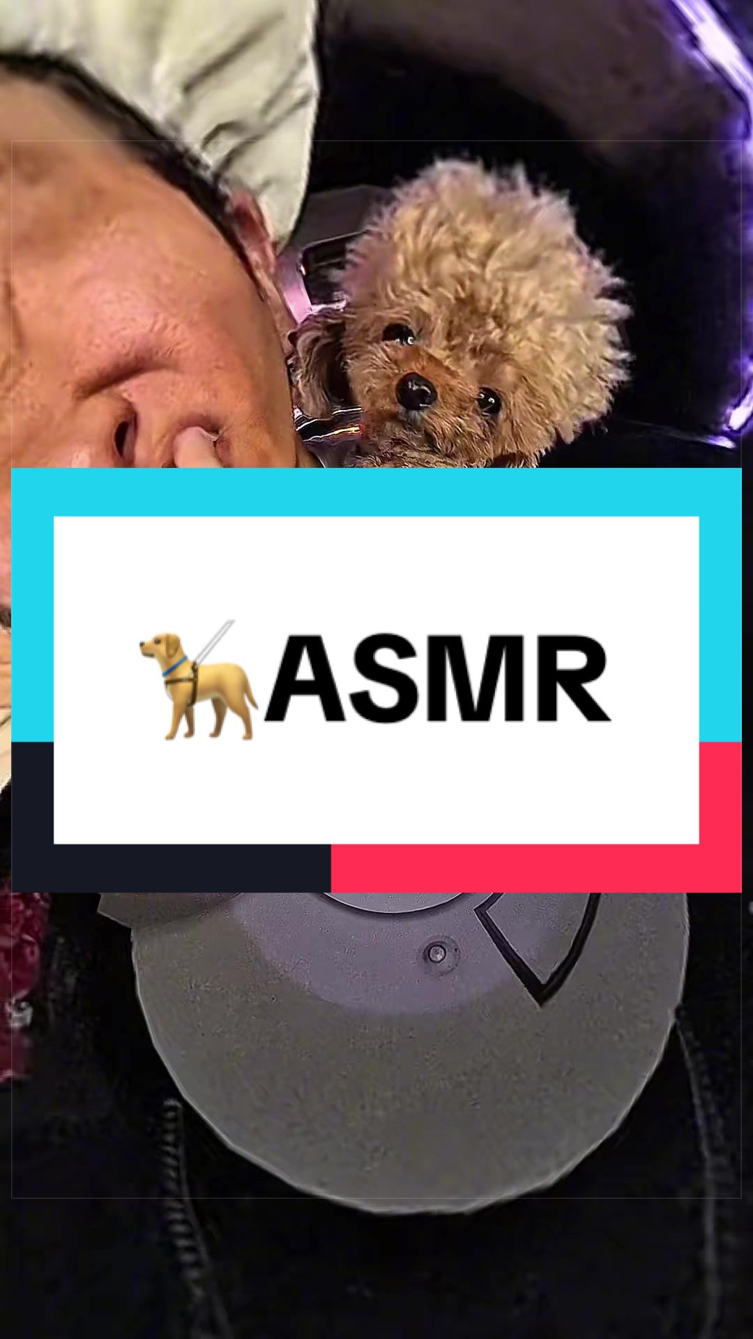 @NOBURIN ASMRð¥±
