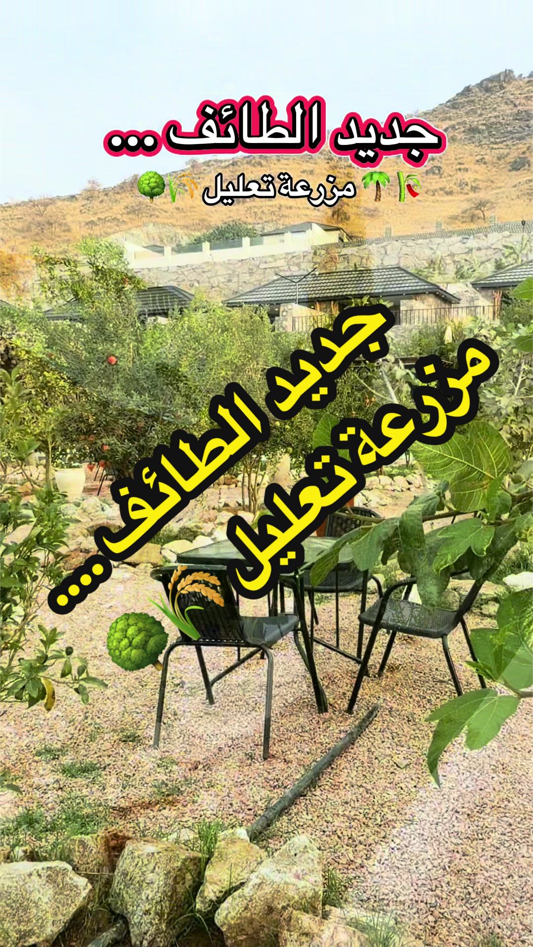 @وفاء الطلحي 📸 مرخصة إعلامياً