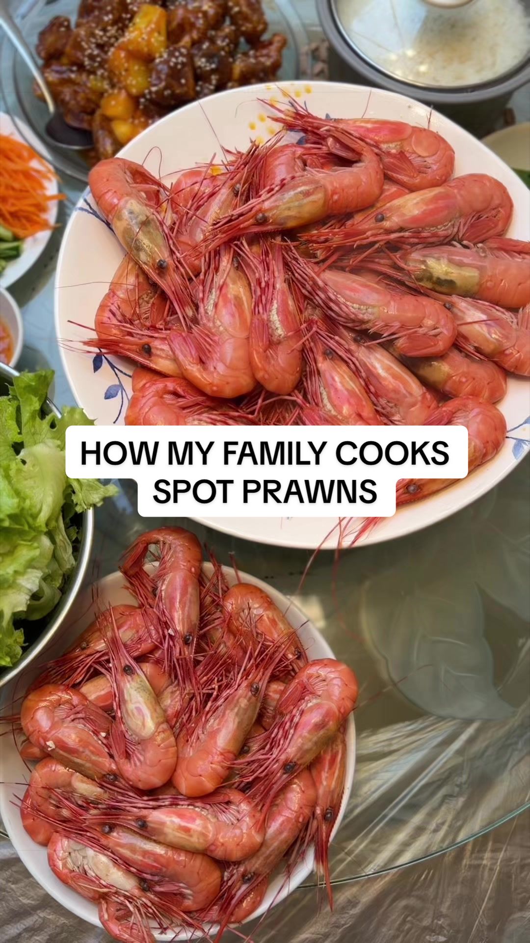 @celia yu
