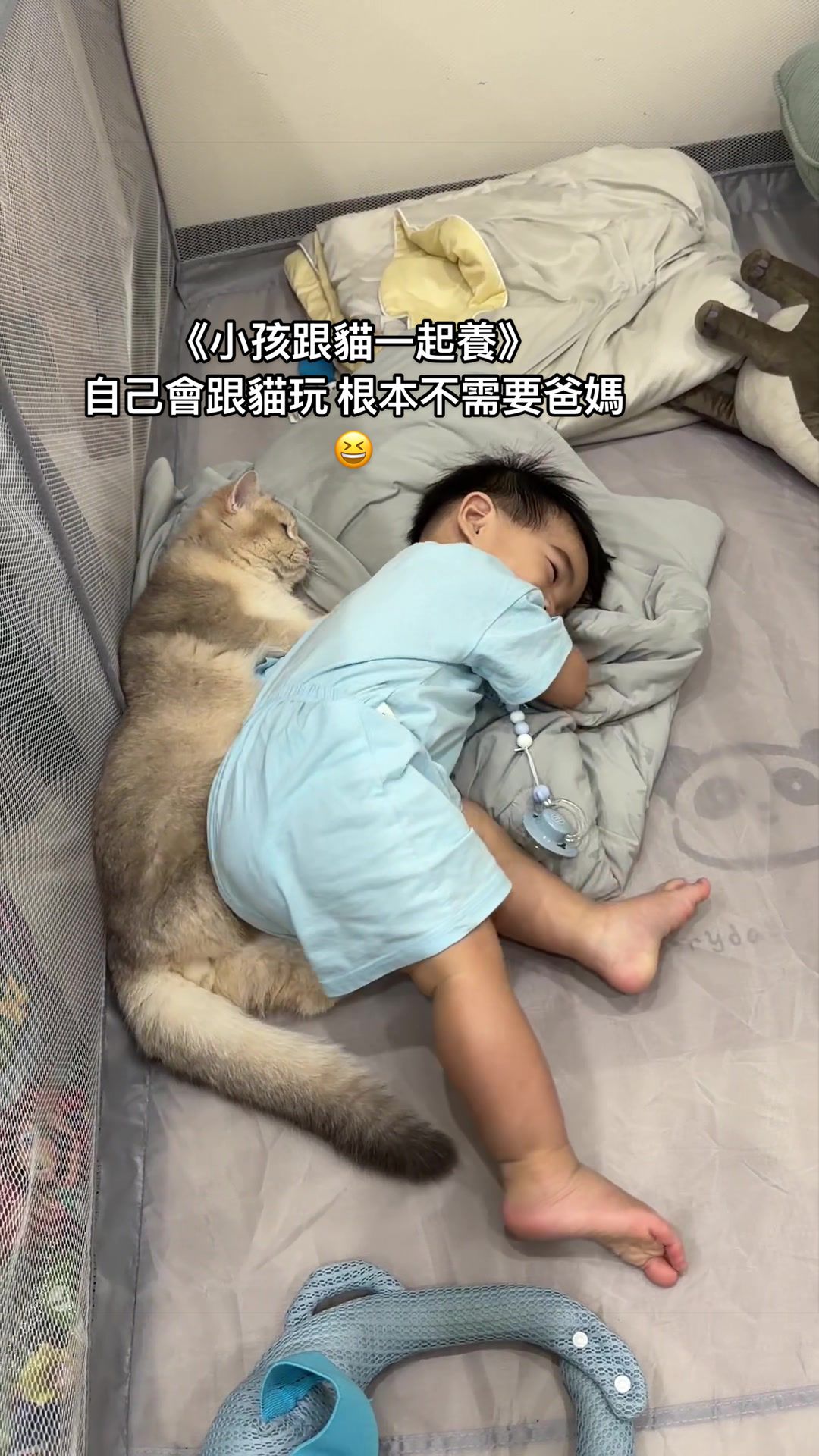 @張皮皮🐾（12貓2娃）