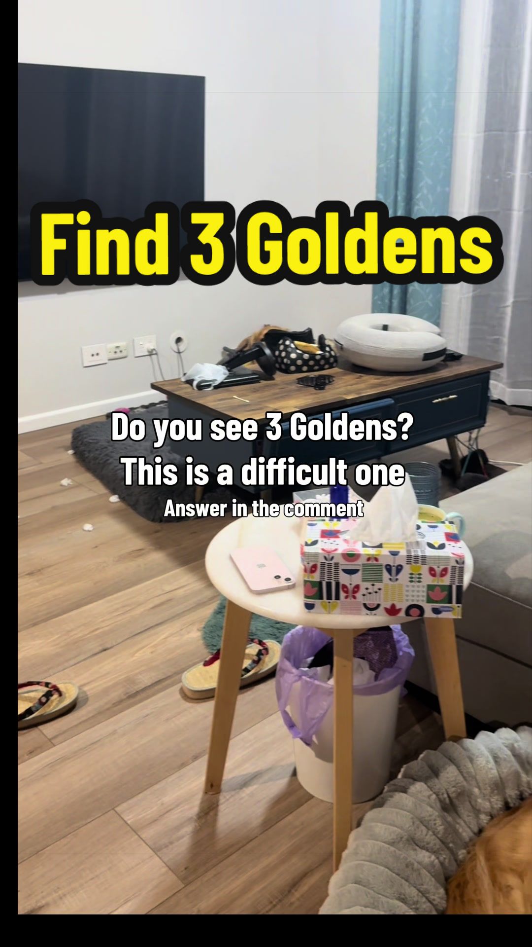 @3goldenretriever