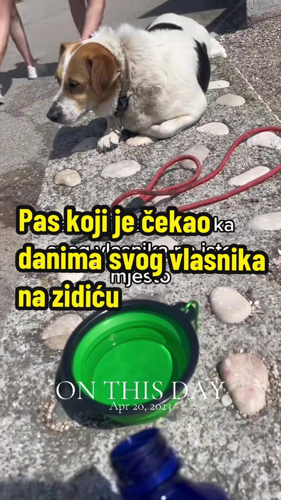 @Maja Kovijanic