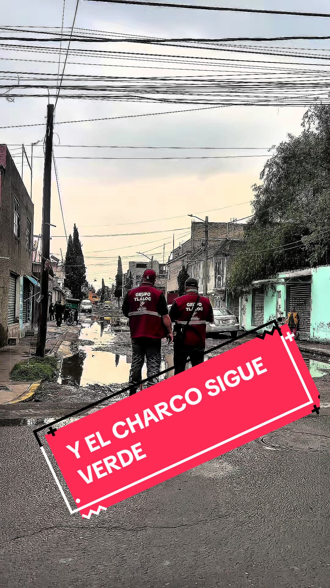 @Diego Garc&iacute;a